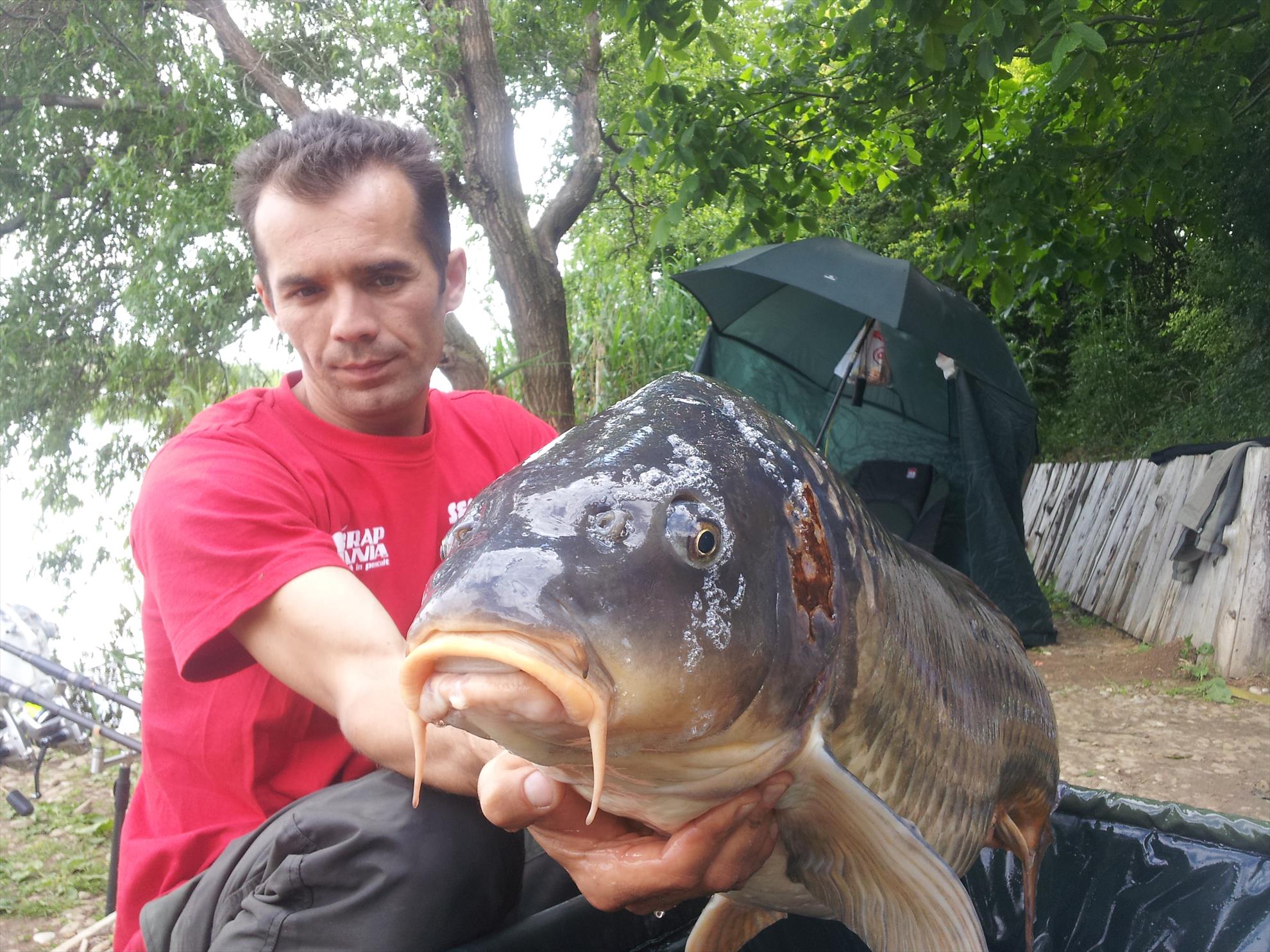 Tancabesti 1 - 4 iunie 2014 - 20150506160405.jpg